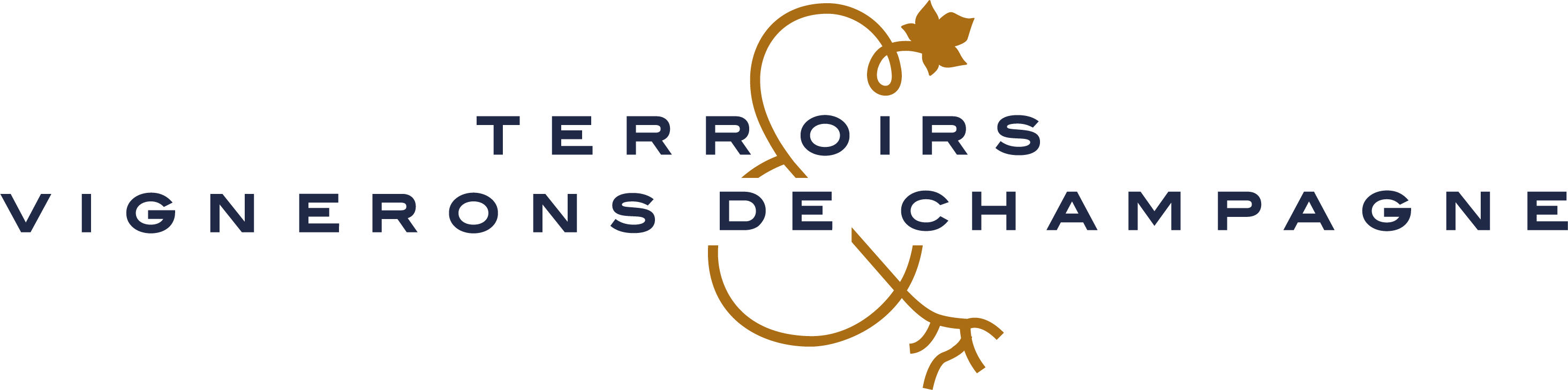 Logo terroirs et vignerons de champagne