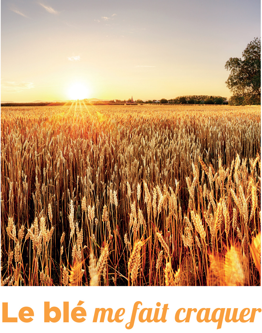 A qui s’adresse Agriculture Cœur de Nos Territoires ?