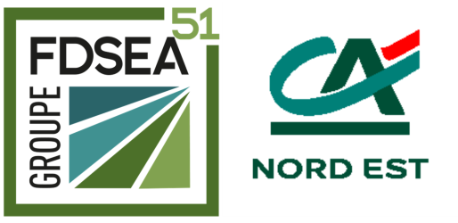 fdsea ca