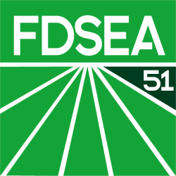 logo fdsea